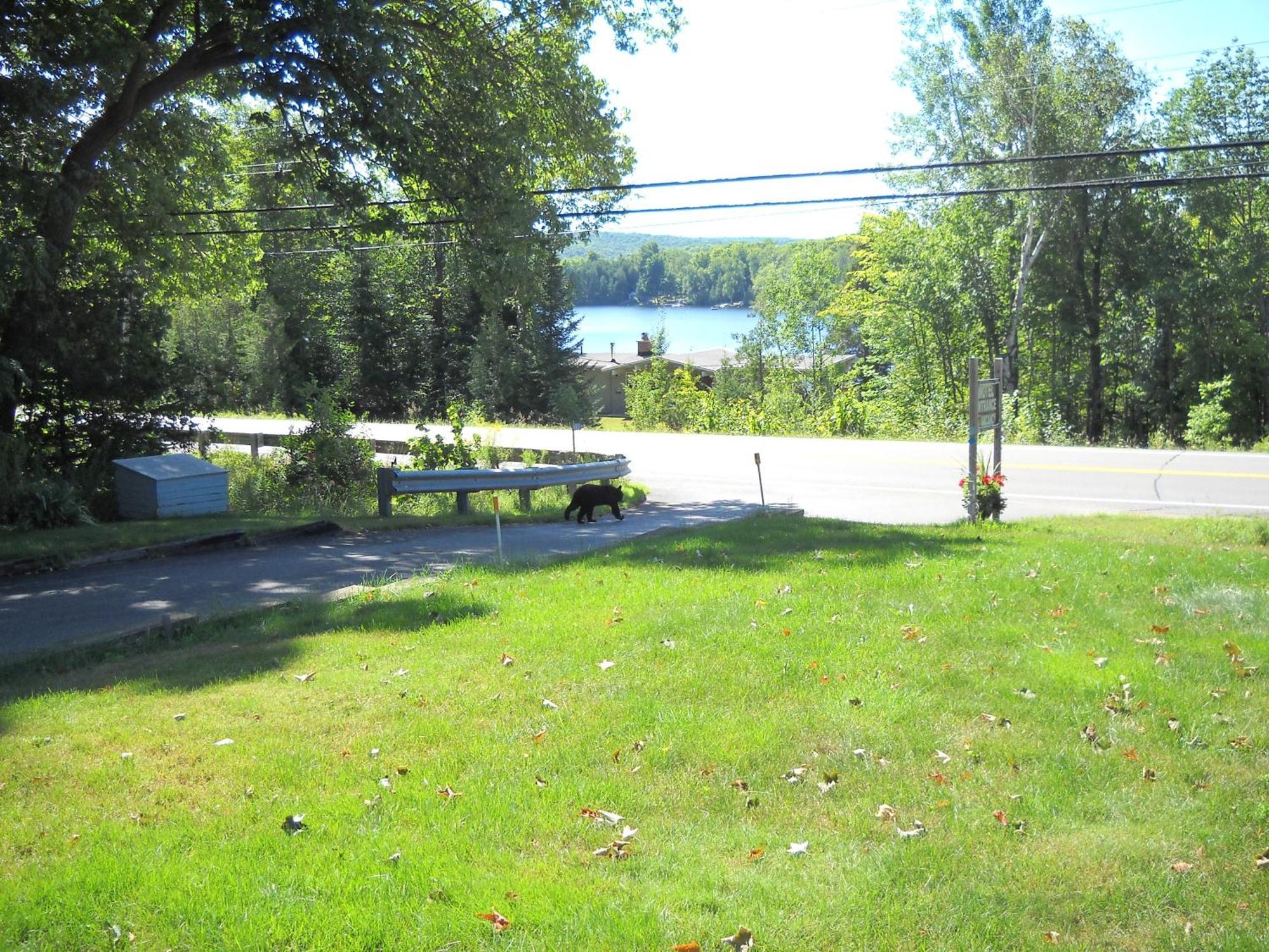 Lakeview Motel Haliburton Exterior photo