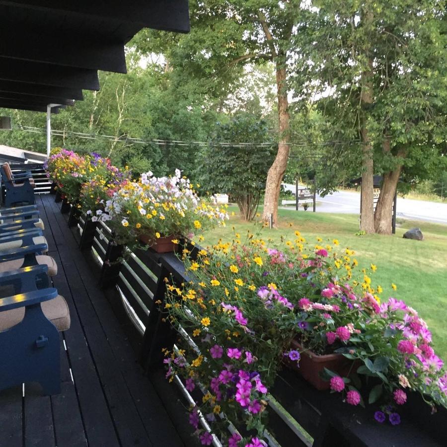 Lakeview Motel Haliburton Exterior photo